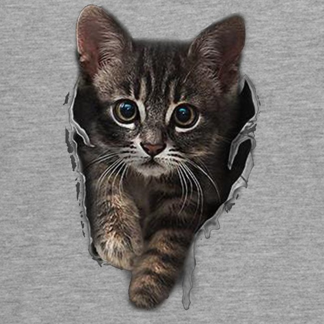 Katze Riss - Teenager Premium Langarmshirt