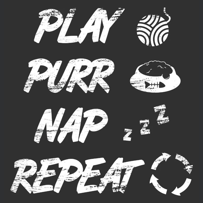 Routine quotidienne du chat