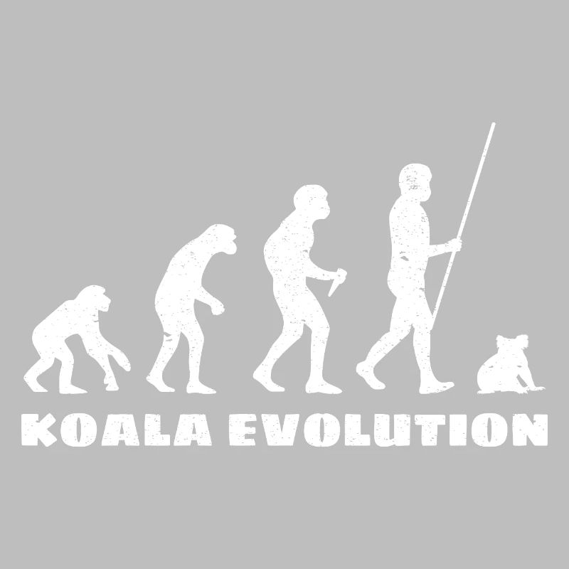 Évolution du koala