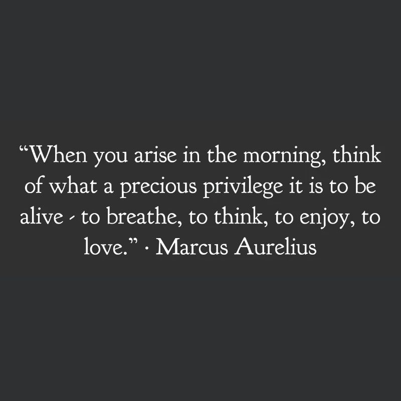 Wenn Du Morgens Aufstehst Marcus Aurelius
