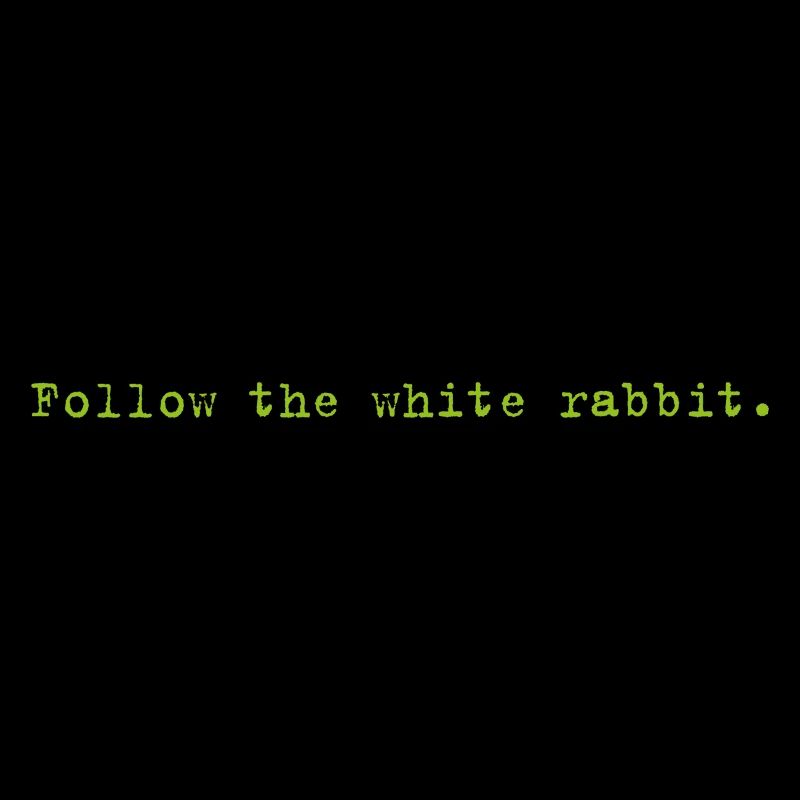 Follow the white rabbit Programming Informatik