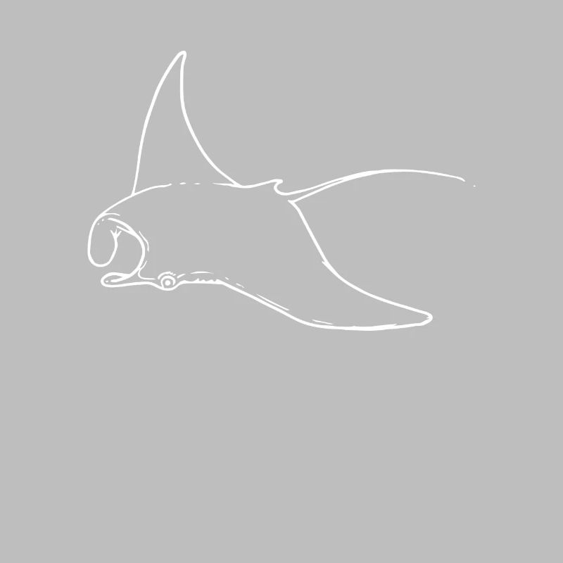 Rochen Manta