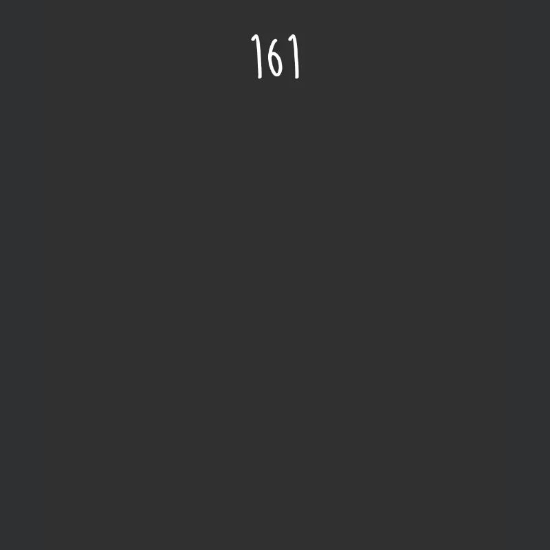 161