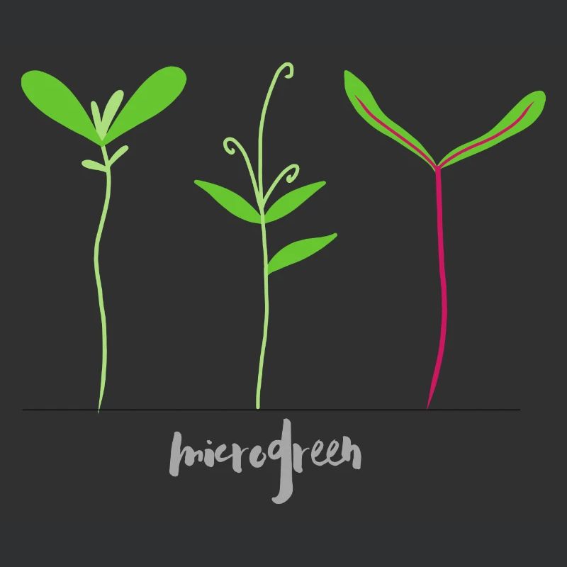 Micro shoots - Microgreen
