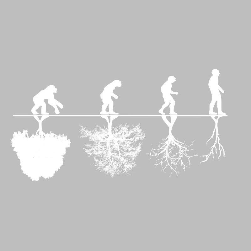 Critique d'évolution