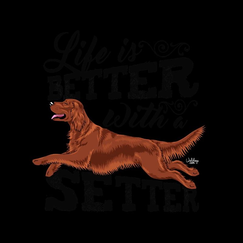 irishsetterbetter4
