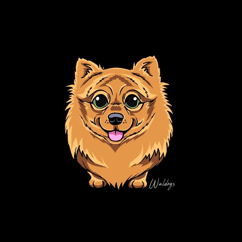 Kleinspitz Fluffy VI
