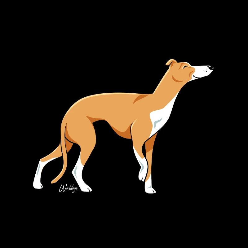 Whippet Only III