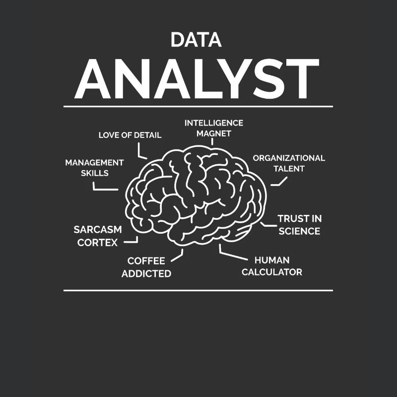 Data Analyst