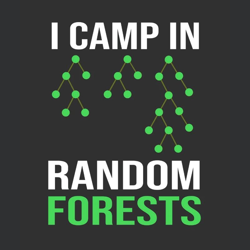 Programmierer Coder GPT