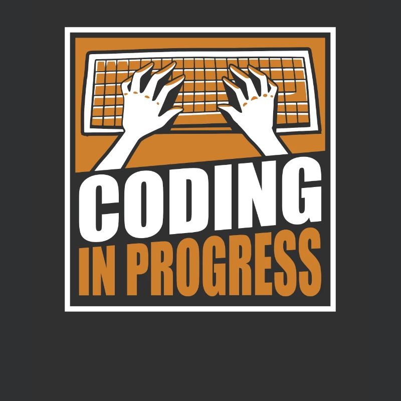 Coding In Progress Softwareingenieur Developer