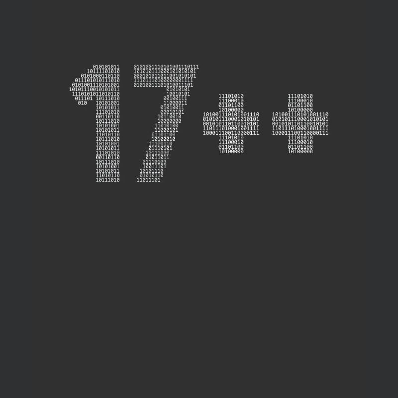 17++ Programmeur Développeur Codeur 18e anniversaire