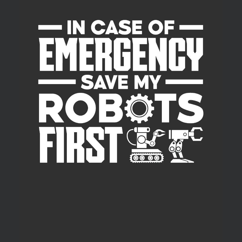 Robotics Robot Programmer