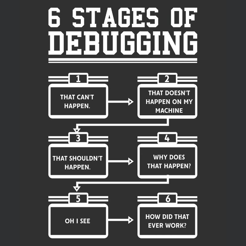 6 Stages of Debugging Software Programmeur