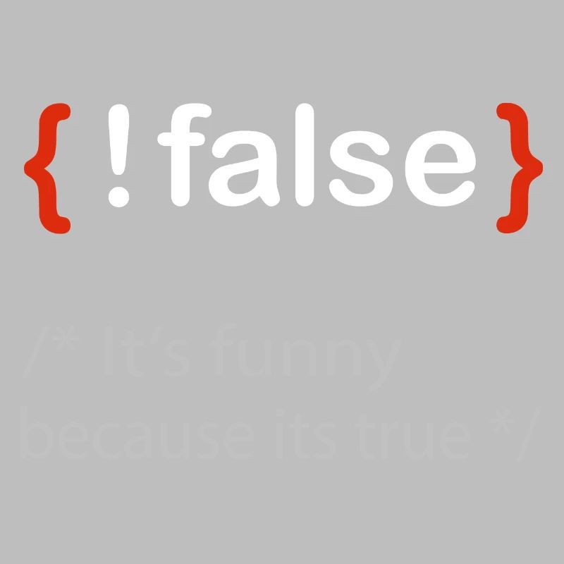 Programmierer false true Informatiker Student