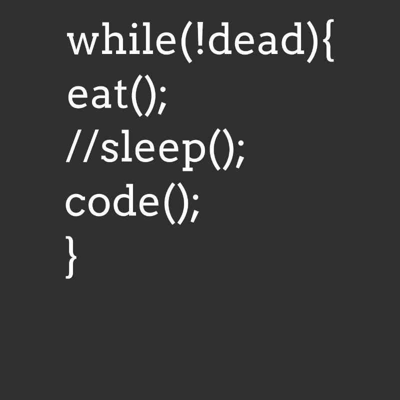 Programmation d'un jeu de mots pour développeur informatique