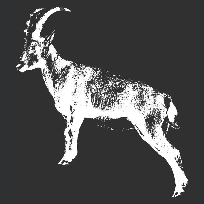 Capricorn