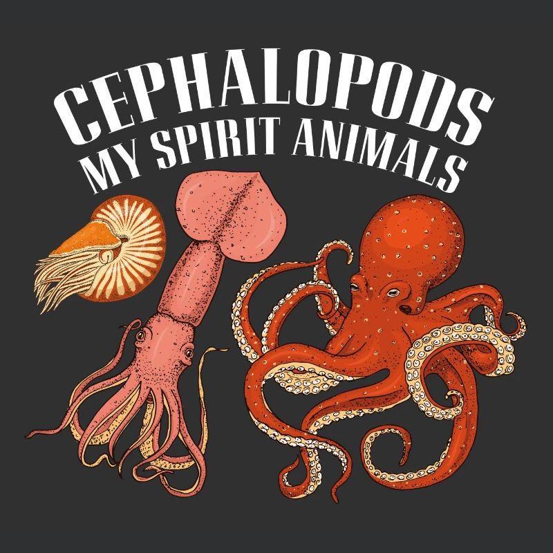 Cephalopod octopus octopus squid