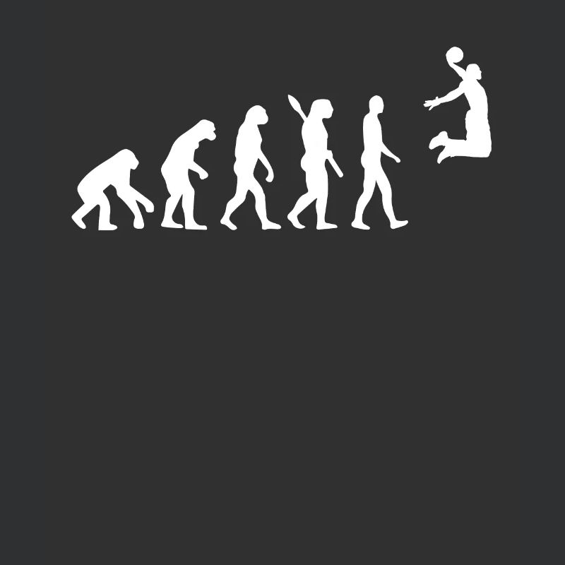 Evolution du basket