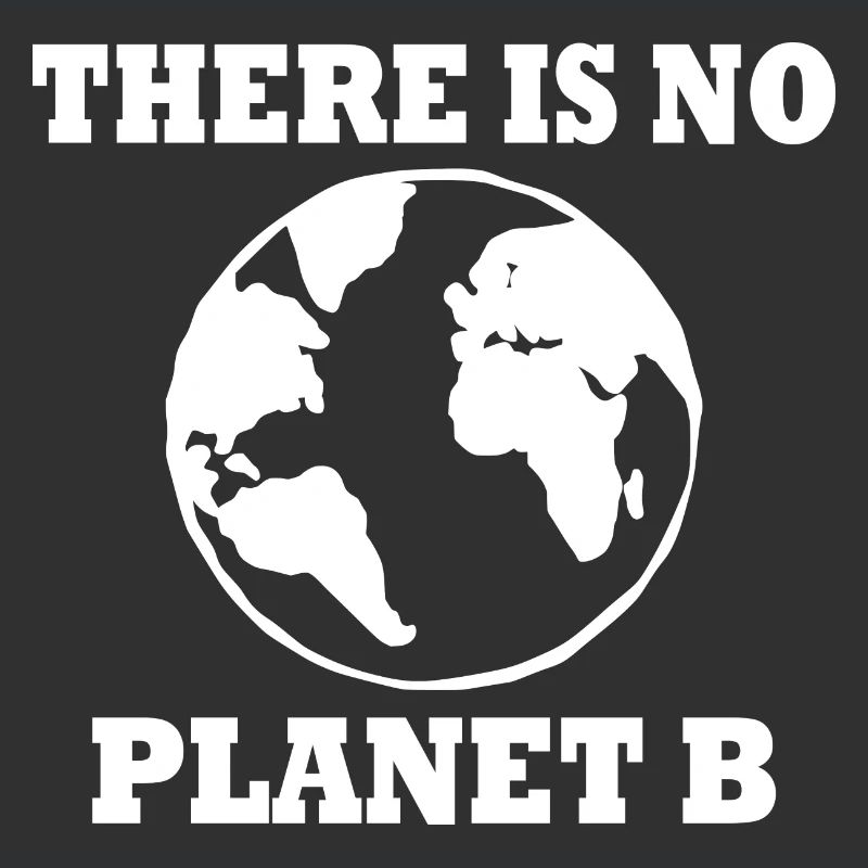 There is no planet b