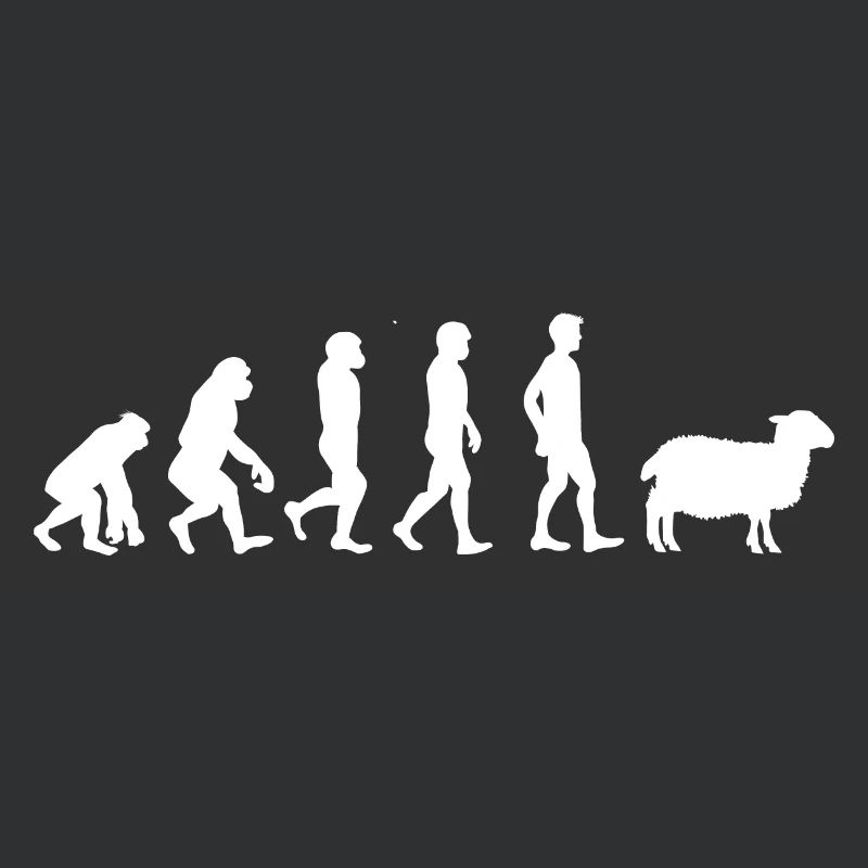 Evolution mouton