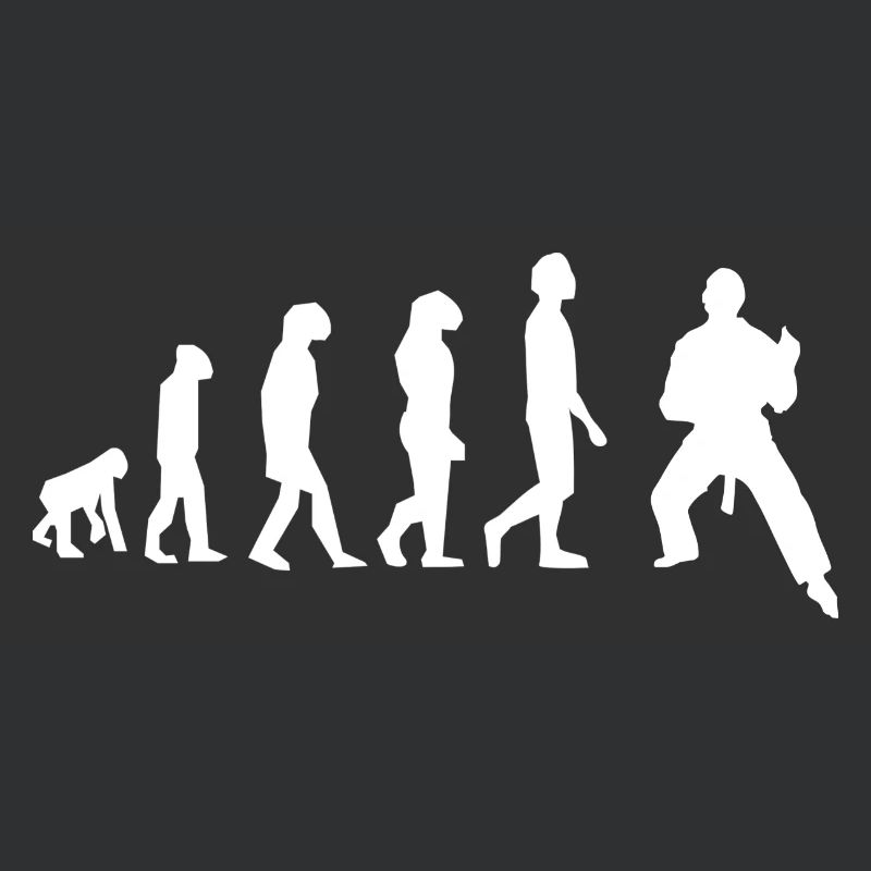 Martial arts evolution