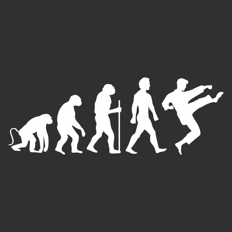 karate evolution