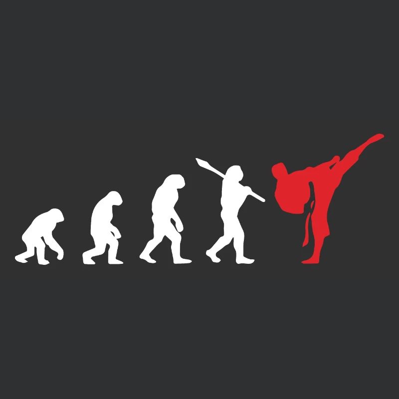 Karate Evolution Entwicklung Kamfkunst