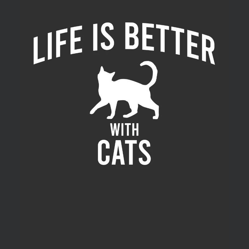 Dicton de chat