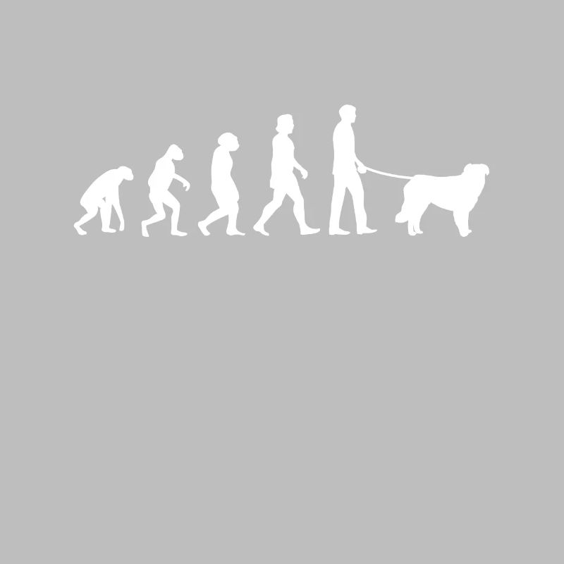 Évolution de Kuvasz