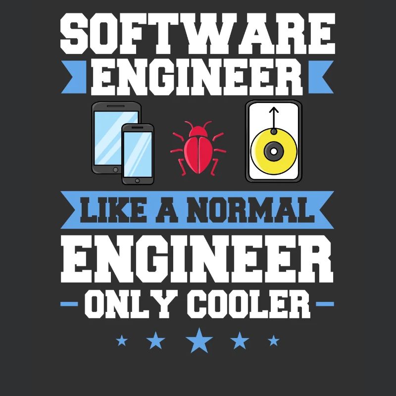Software Engineering Softwaretechnik Ingenieur