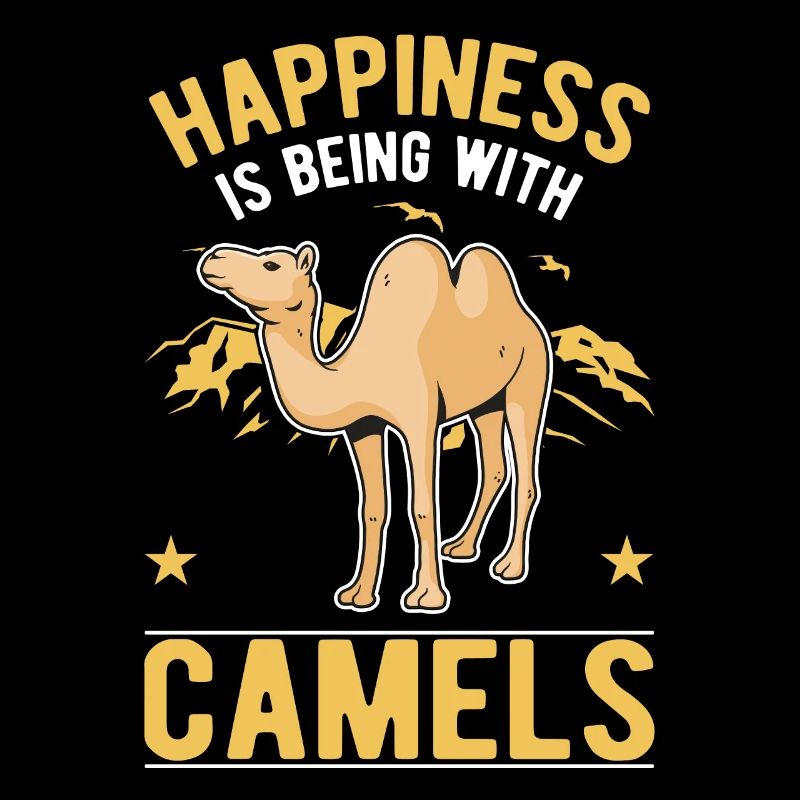 Kamel Glück Ägypten Dromedar Großkamel