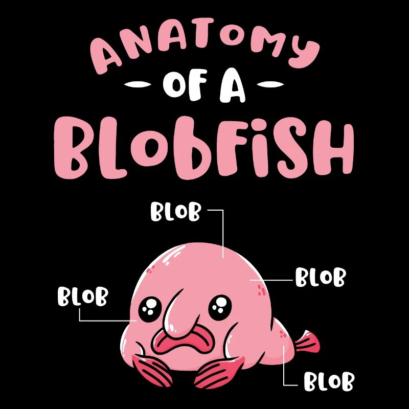 Anatomie Eines