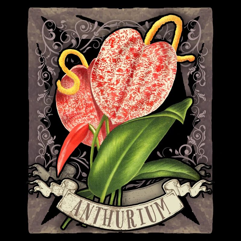 Anthurium vintage, illustration de fleurs botaniques