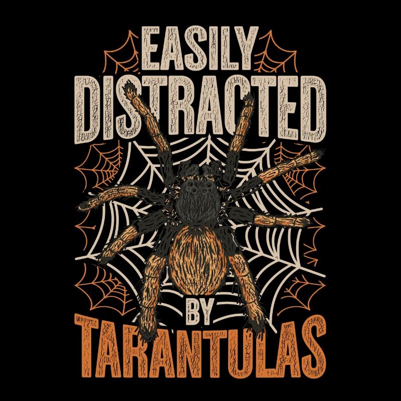 Tarentule facilement distraite par les tarentules