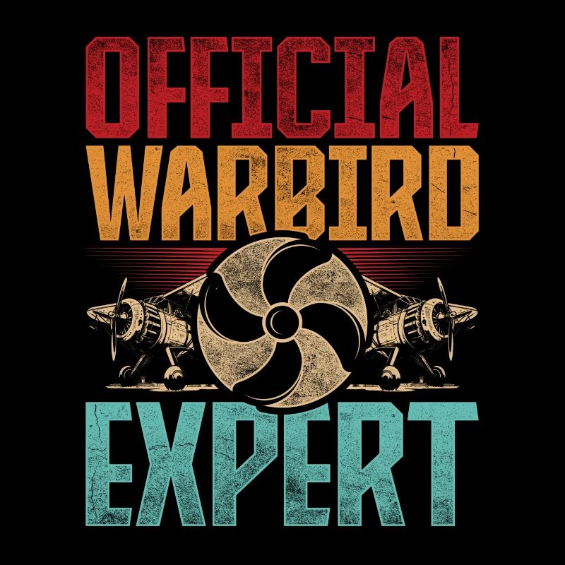 Modellflieger Official Warbird Expert