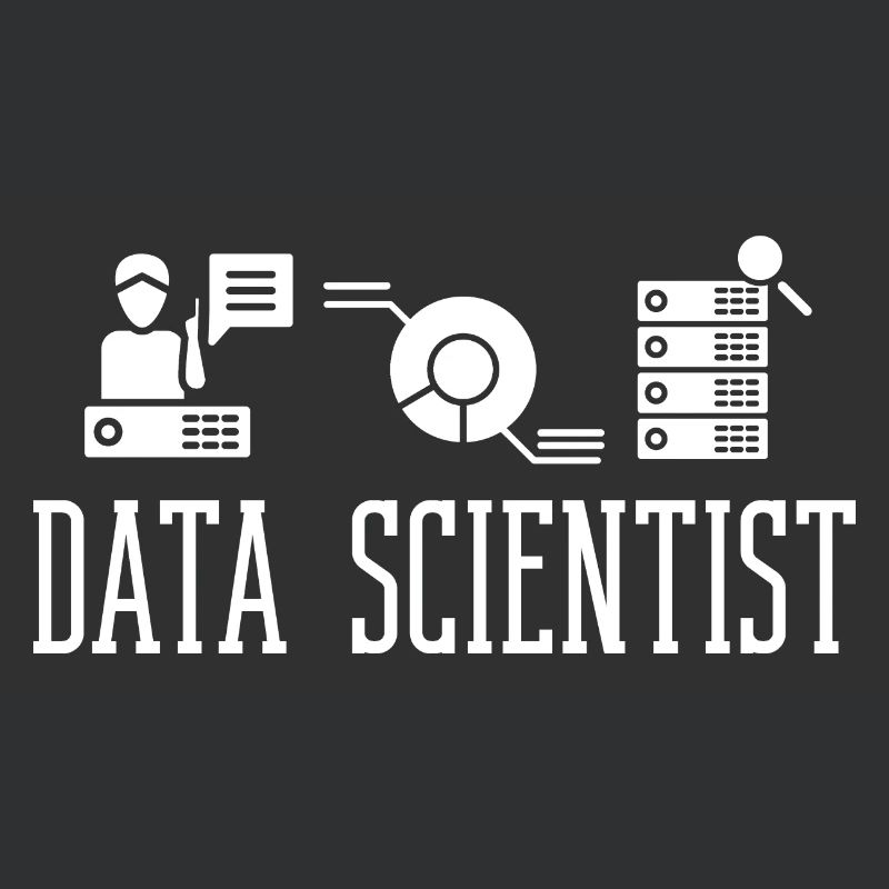 Data Scientist Data Science Science