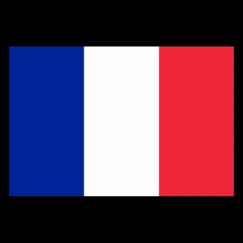 Drapeau Francais original