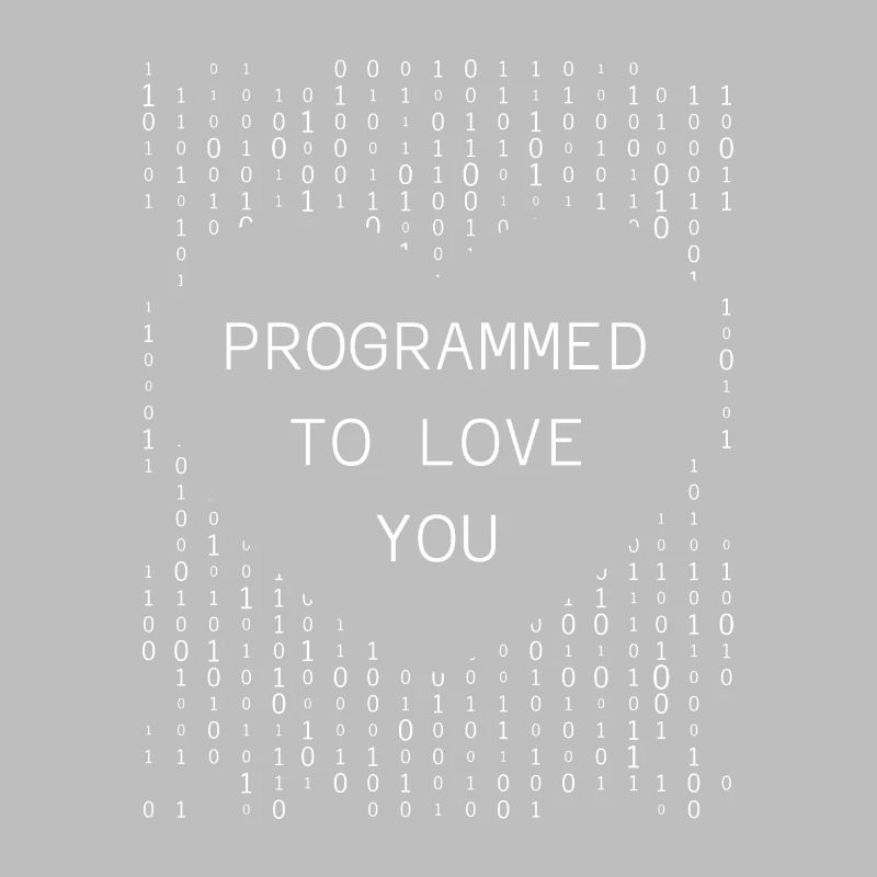 Developer Coder Programmer