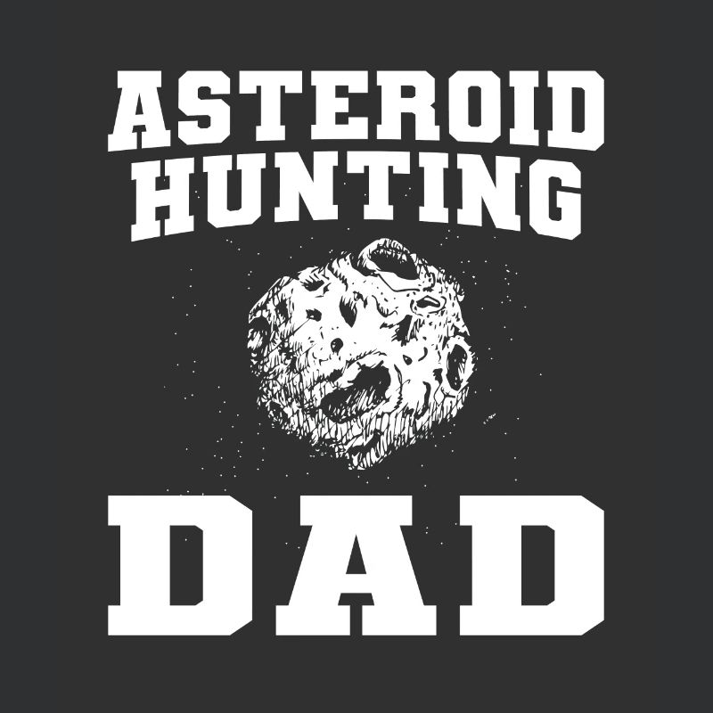 Space Space Papa Astroid Diversion