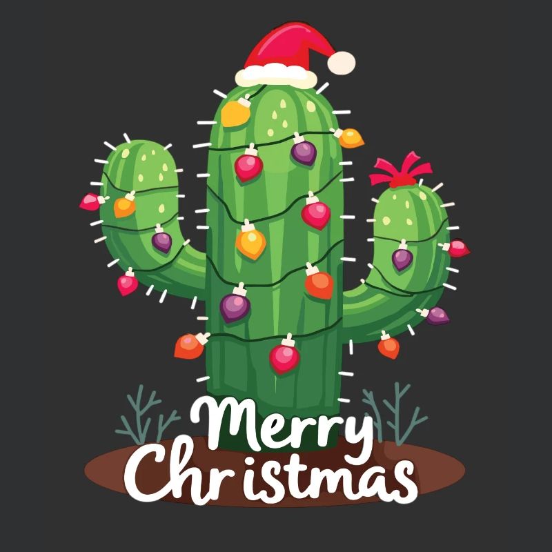 Cactus de Noël Cactus Cactus
