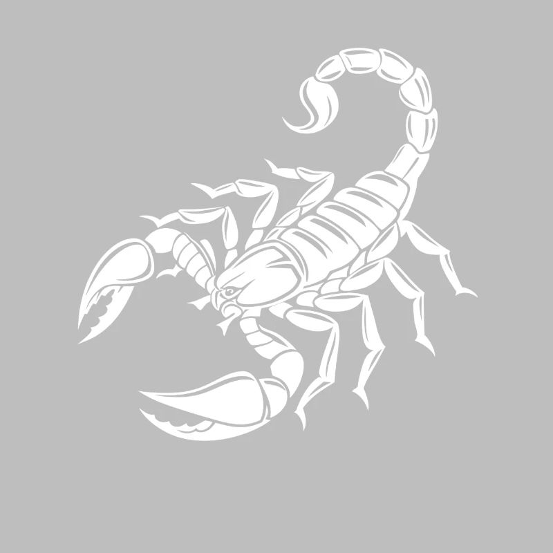 Scorpion - Poisonous Stinger - Species Conservation - Habitat