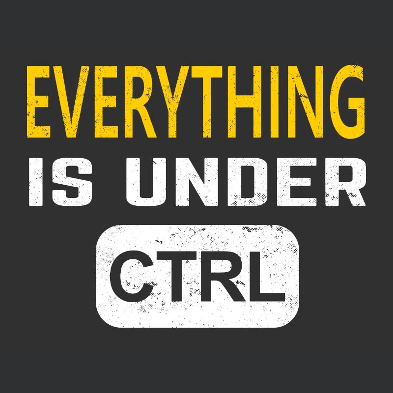 Programmer software developer