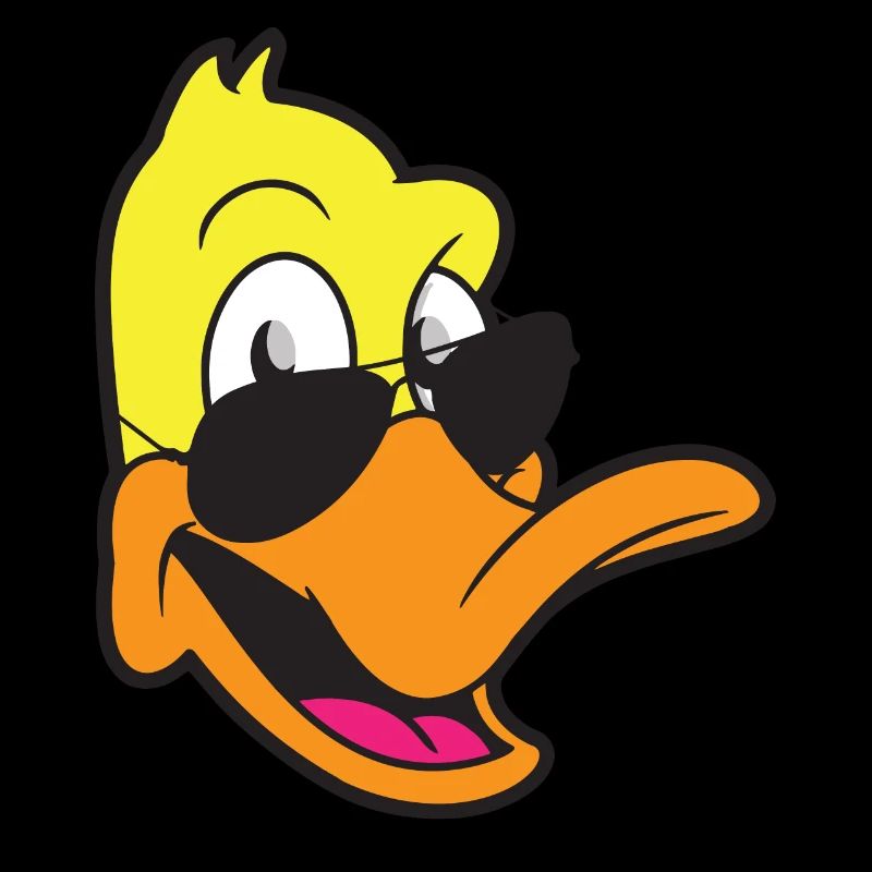 canard
