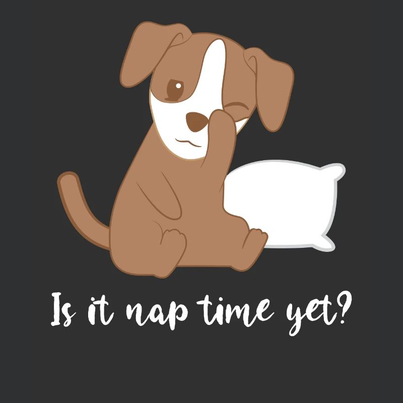 Jack Russel - Schlafen - Müde - Langschläfer