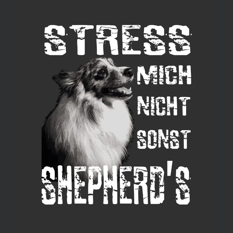 Do not stress me otherwise Sheperds Aussie Sheperd