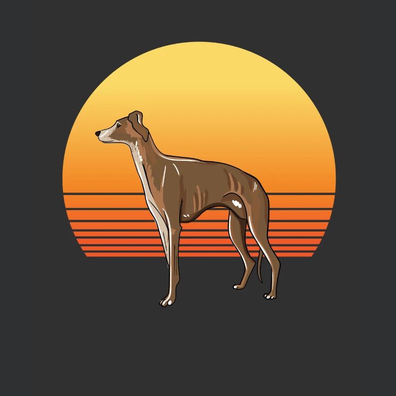 Soleil de lévrier