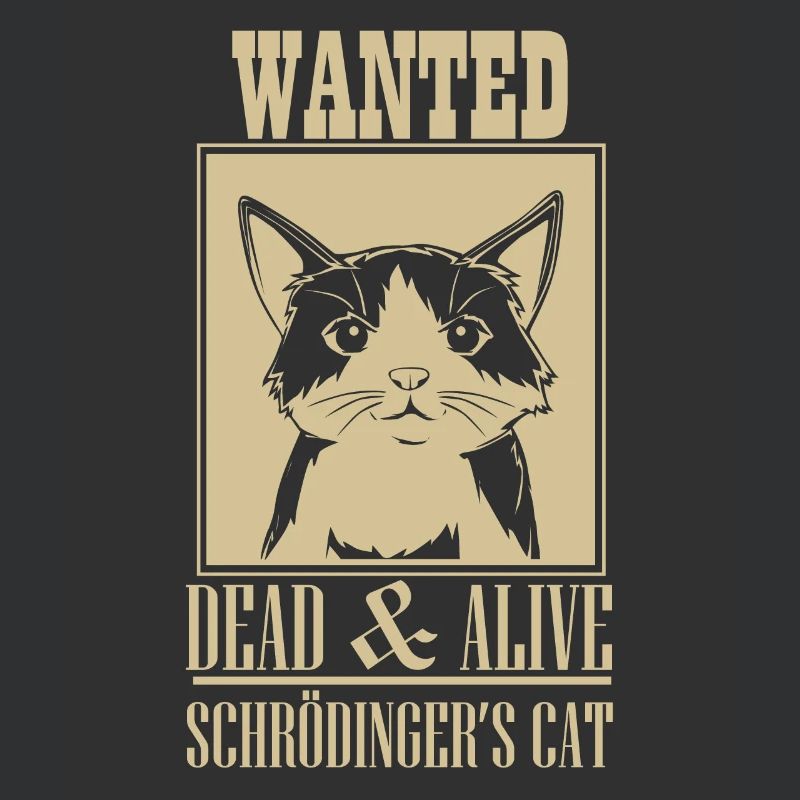 Schrödingers Katze Dead & Alive Student Physik