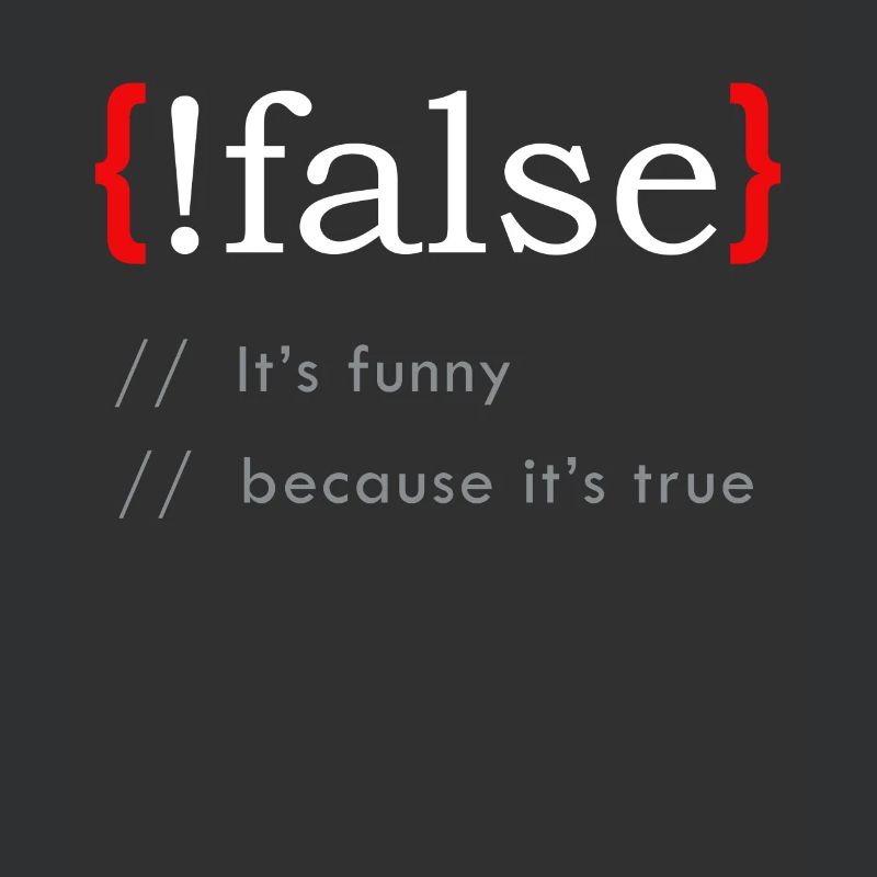 False It’s Funny Because It's True Funny Programmi