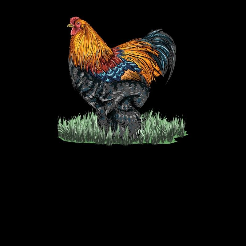 Brahma ChickenS I Chicken Poultry Motif pour